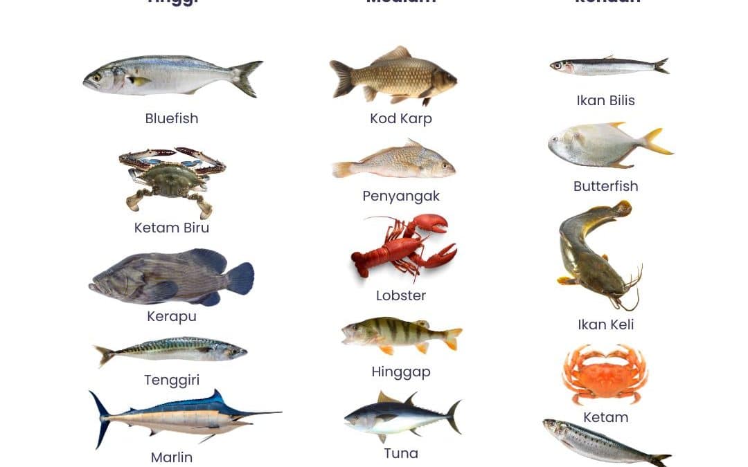 bukan untuk ibu hamil trimester pertama